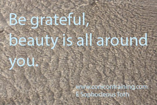 Quote: Be grateful, beauty is all around you. By E. Sophocleous Toth